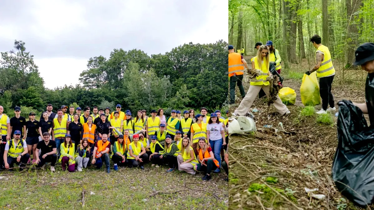 Peste 15 tone de deșeuri colectate în cadrul campaniei de ecologizare a BAT România în pădurea Plopeni, județul Prahova