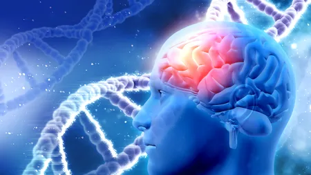 Un virus comun, la  originea glioblastomului, cel mai grav cancer al creierului