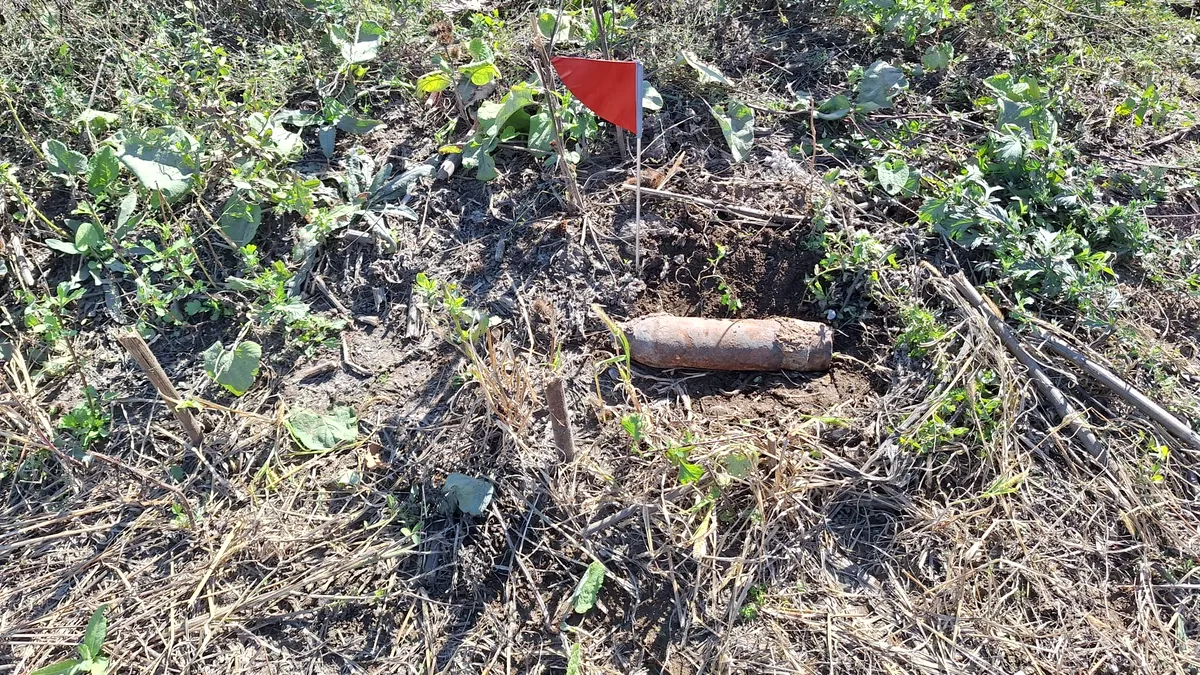 Şase proiectile explozive, descoperite pe un câmp
