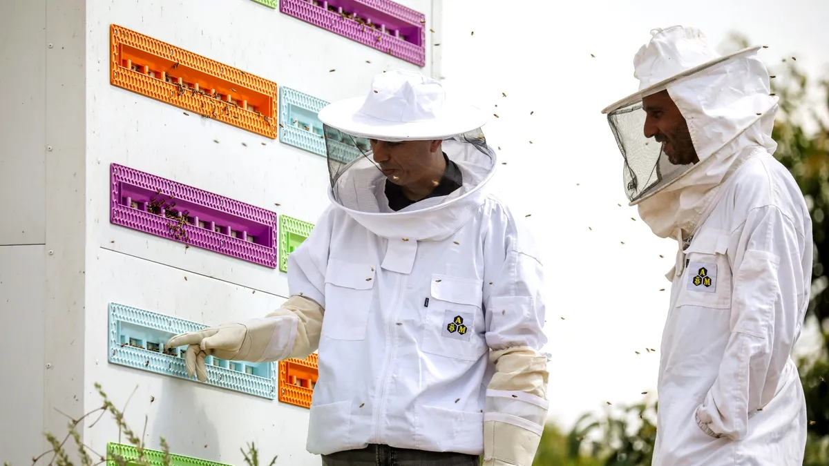 Progres: Un stup robotizat ajută albinele să îşi găsească refugiul din calea pericolelor