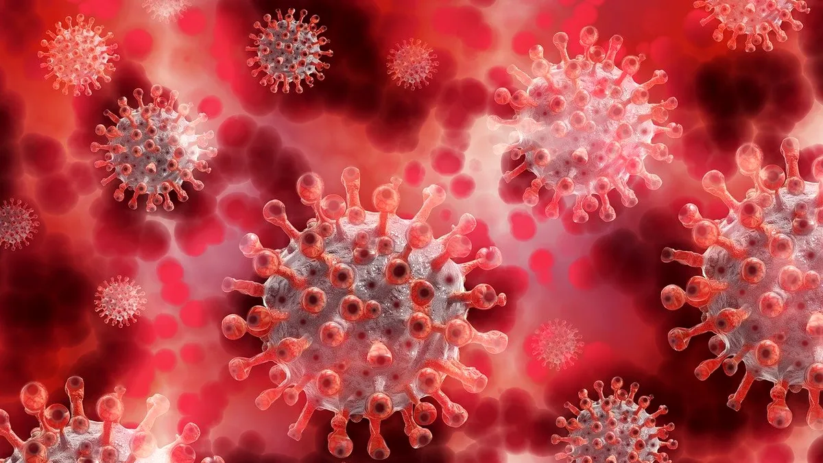 OMS și Statele Unite, vigilență maximă cu noua variantă a virusului infecției Covid-19