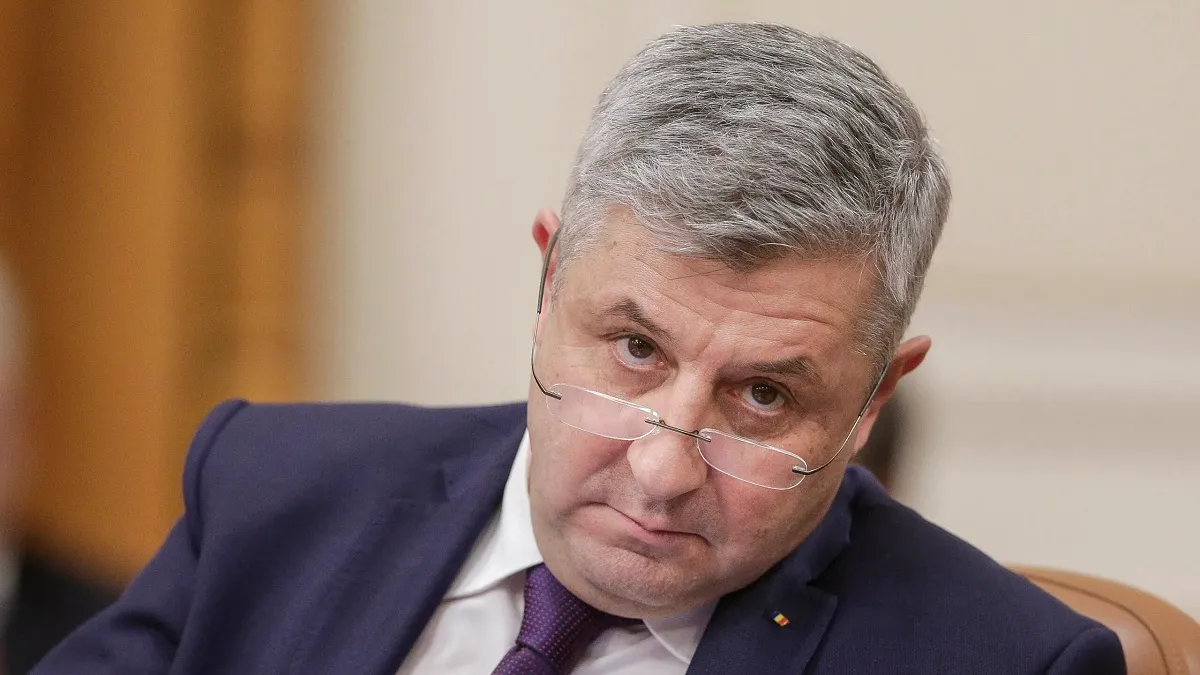 Mătrășirea Dianei Șoșoacă: cine a fost cu ideea