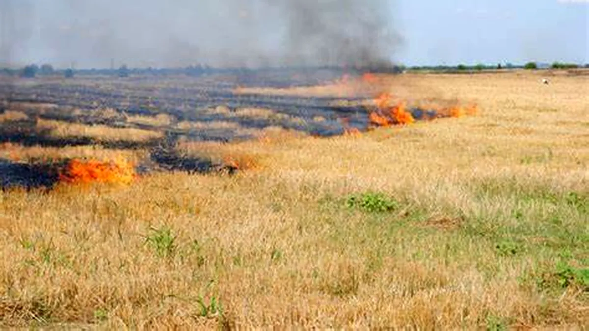 Alertă de incendii, de la munte până la mare (Video)