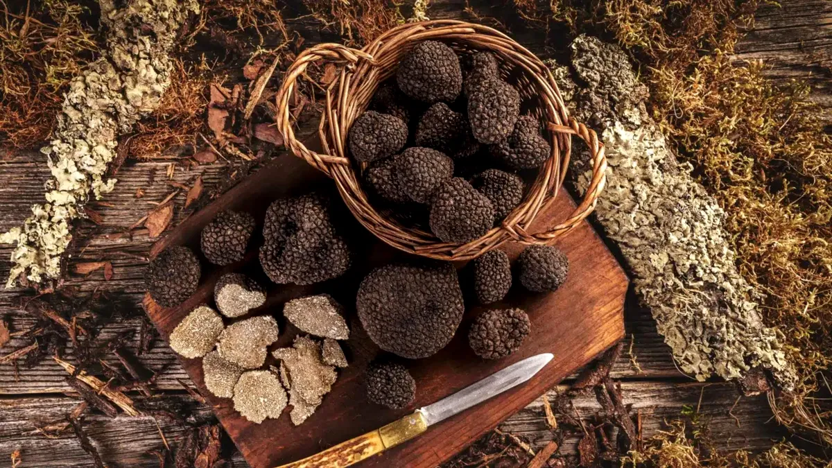 Un oraș european a primit titlul de capitala trufelor. Deține titlul de oraș gastronomic UNESCO