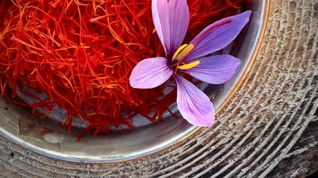 Ce gust are luxul? „Aurul roșu” se cultivă acum și într-un sat din România