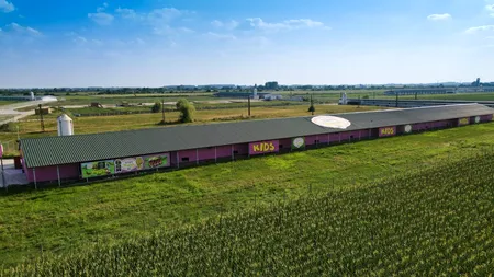 Libanezii de la Toneli, cel mai mare producător de ouă din România, au apelat la schema de ajutor de stat