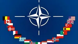 Summit NATO de la Ankara, decisiv: Articolul 5 în centrul deciziilor