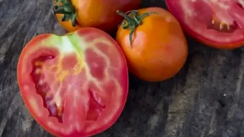De ce au roșiile miezul verde în acest an: explicații din partea specialiștilor