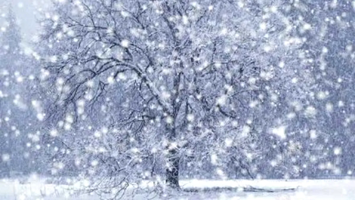 Ninge ca în povești! Care sunt cele mai cunoscute creații literare unde găsim peisaj de iarnă