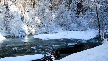 Doi copii au căzut în râul Bistriţa, după ce gheaţa de sub ei s-a rupt